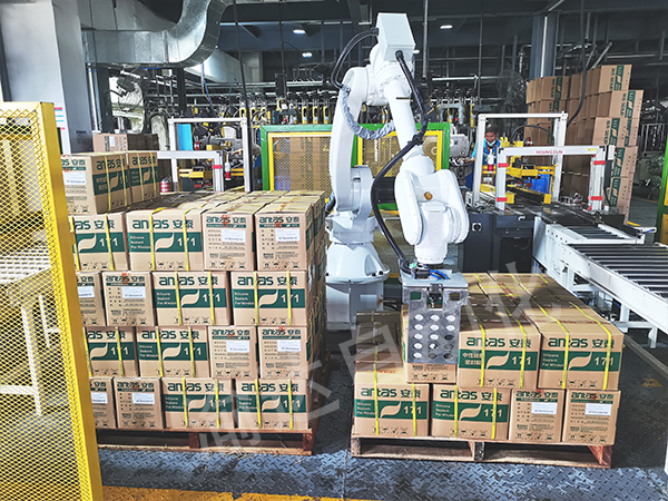 紙箱碼垛機(jī)器人